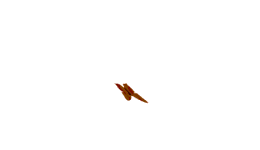 Die Lotsen